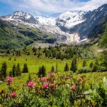 5 idées de vacances à la montagne, pour ceux qui partent en retard