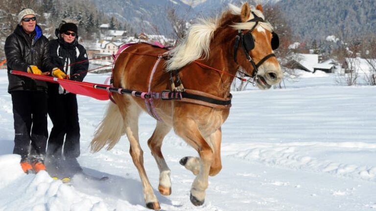 que faire à la montagne si on ne peut pas skier?
